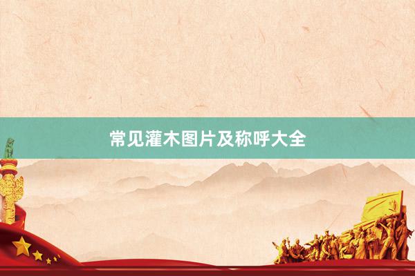 常见灌木图片及称呼大全