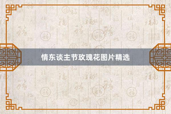 情东谈主节玫瑰花图片精选