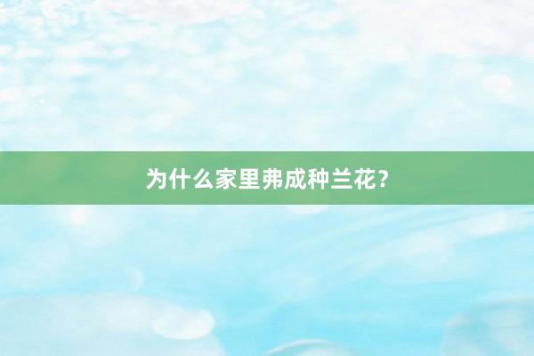 为什么家里弗成种兰花？