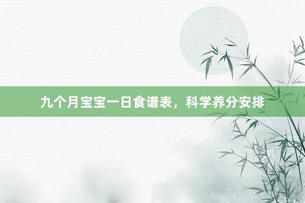 九个月宝宝一日食谱表，科学养分安排